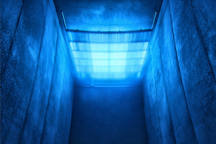 BGS Irradiation Service Days 2021 BGS Irradiation Service Days 2021