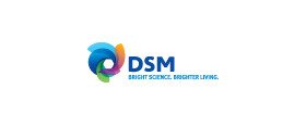 DSM Central Europe, s.r.o.