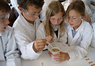 Mezinárodní rok chemie přilákal do BASF mnoho návštěvníků