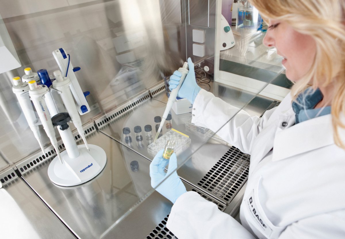 Společnost BASF je v oblasti výzkumu a inovací opět v čele